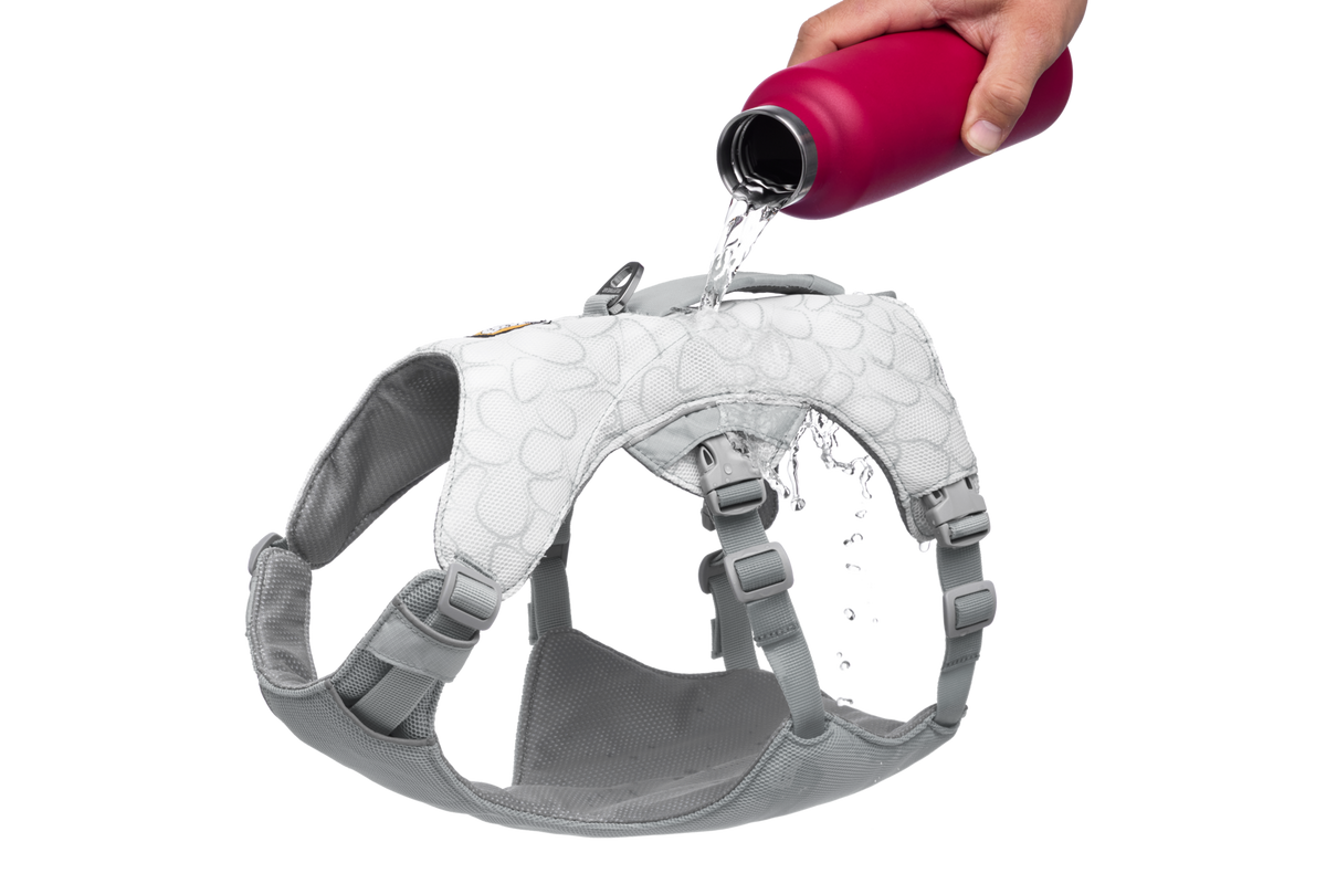 Swamp Cooler™ Dog Cooling Harness product image