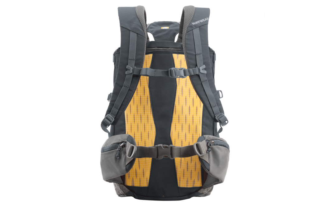 Hitch Hiker™ Dog Backpack Carrier product image