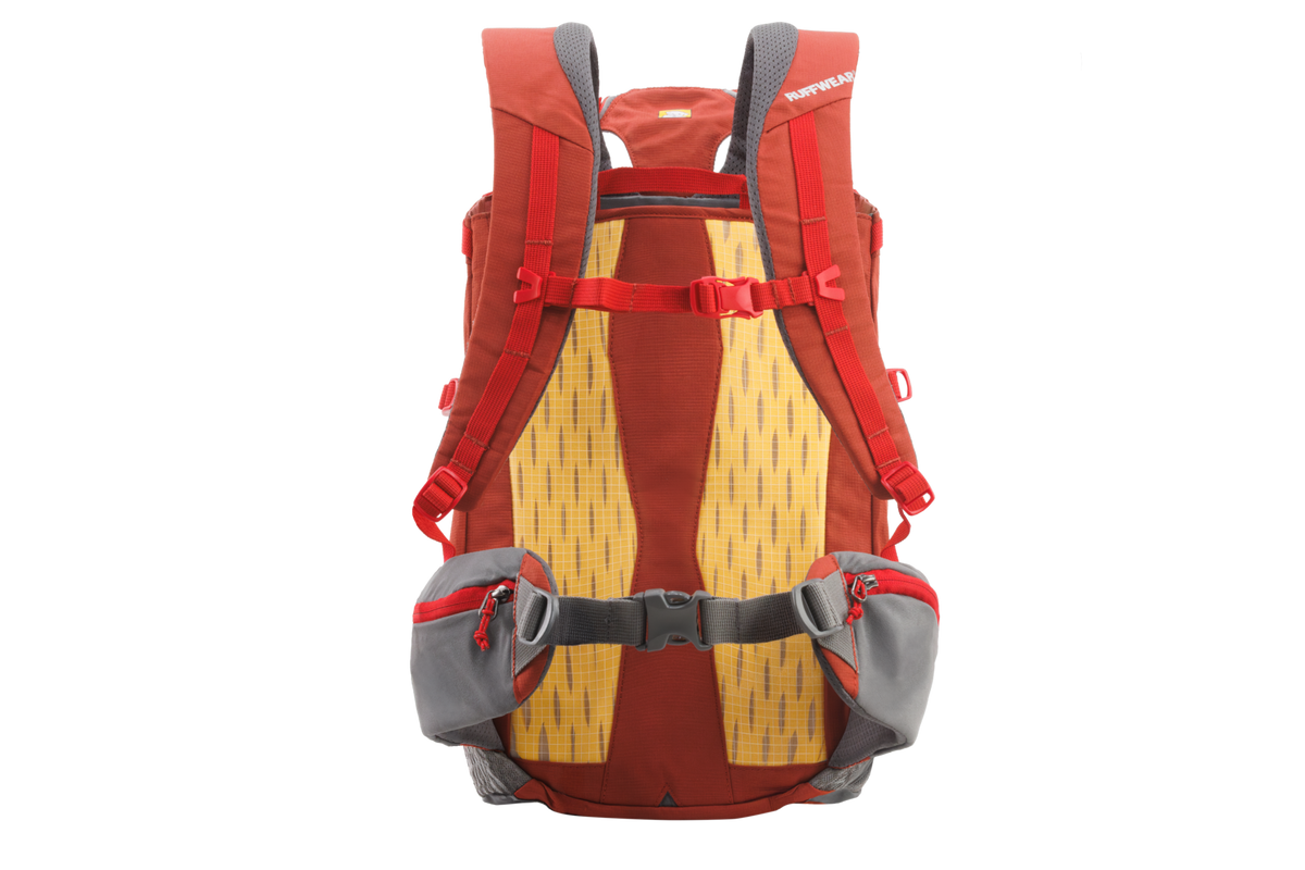 Hitch Hiker™ Dog Backpack Carrier product image