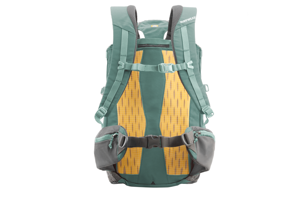 Hitch Hiker™ Dog Backpack Carrier product image
