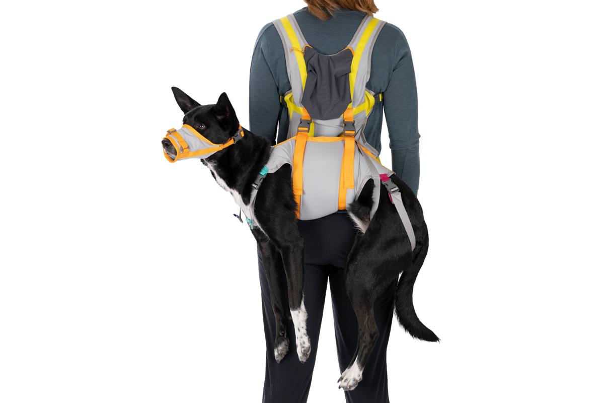 BackTrak™ Dog Evacuation Kit product image