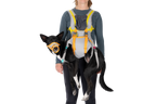 BackTrak™ Dog Evacuation Kit product image