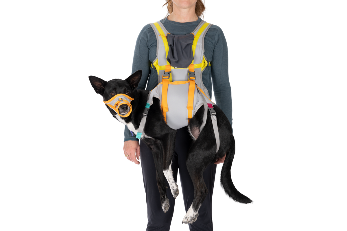 BackTrak™ Dog Evacuation Kit product image