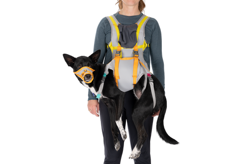 BackTrak™ Dog Evacuation Kit product image
