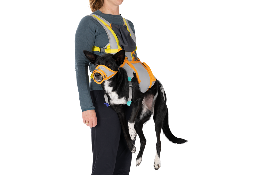 BackTrak™ Dog Evacuation Kit product image