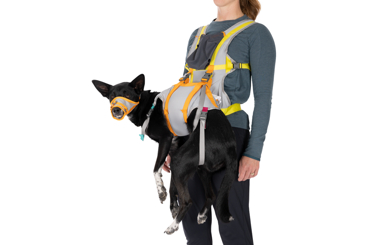 BackTrak™ Dog Evacuation Kit product image