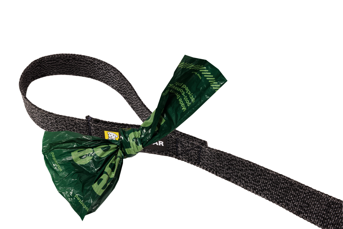 Front Range® Flex Lead product image