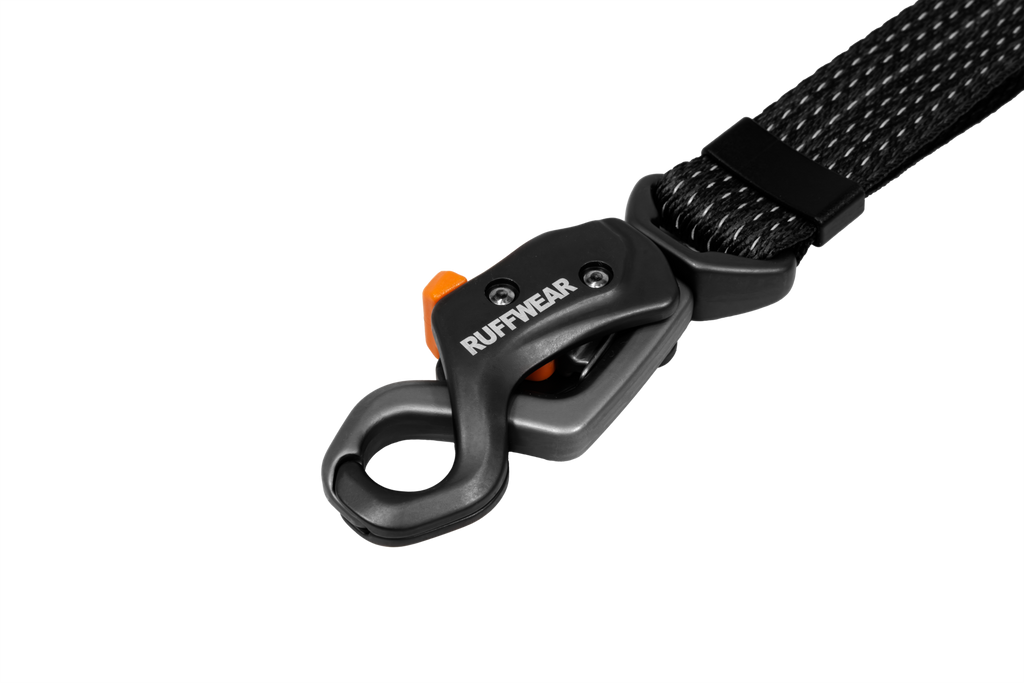 Ridgeline™ Lead product image