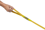 Hi & Light™ Lightweight Dog Lead product image