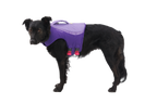 Float Coat™ Dog Life Jacket product image