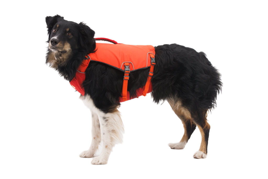 Confluence™ Dog Life Jacket product image