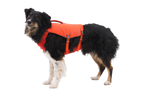 Confluence™ Dog Life Jacket product image