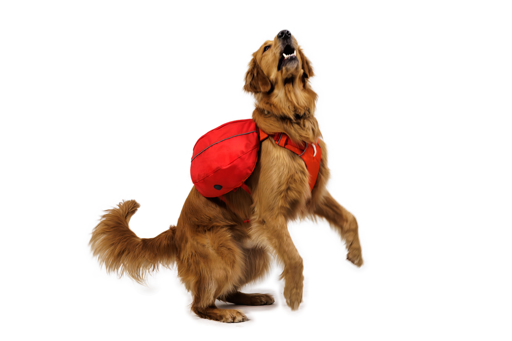 Palisades™ Dog Pack product image