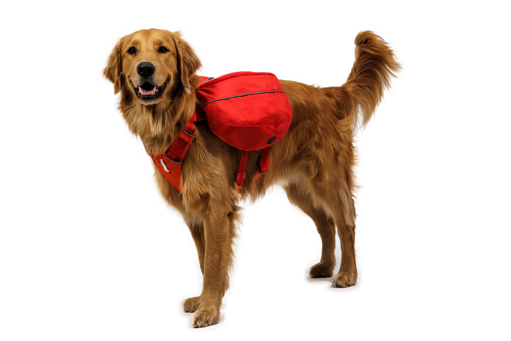 Palisades™ Dog Pack product image