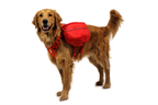 Palisades™ Dog Pack product image
