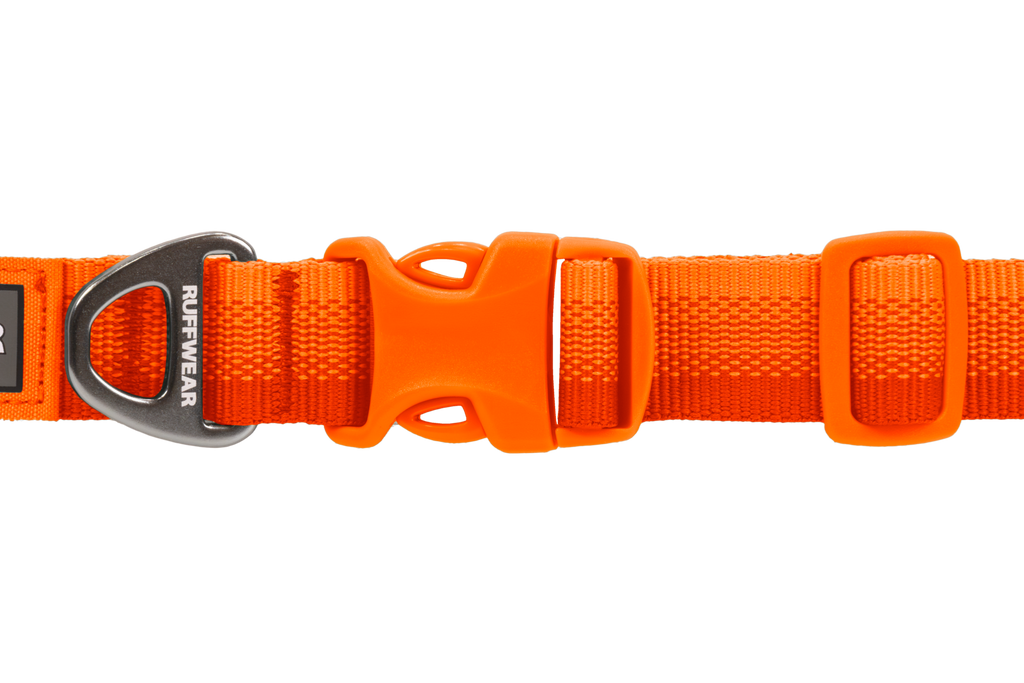 Front Range® Dog Collar product image