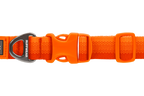 Front Range® Dog Collar product image
