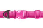 Front Range® Dog Collar product image
