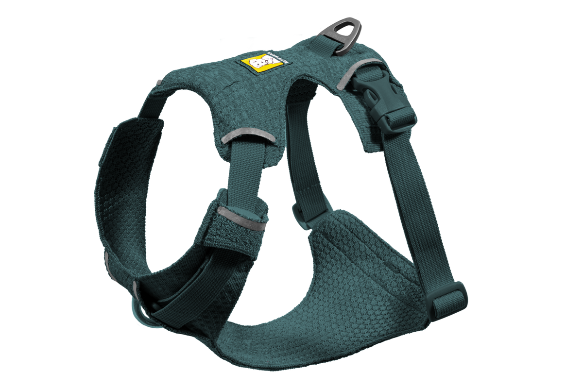 Front Range® Flex Harness product image