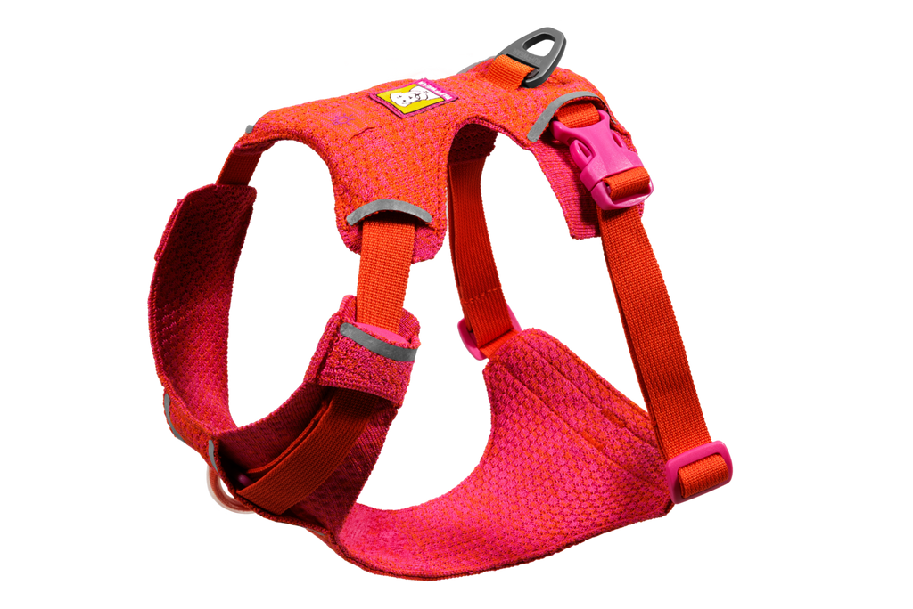 Front Range® Flex Harness product image