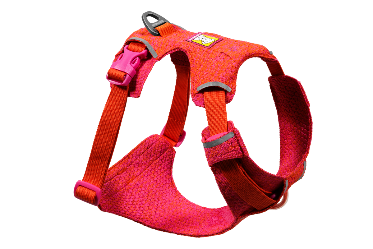 Front Range® Flex Harness product image