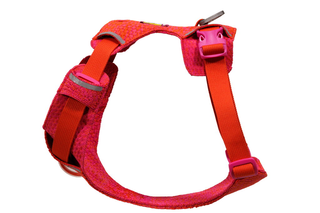 Front Range® Flex Harness product image
