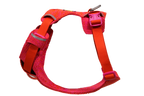 Front Range® Flex Harness product image