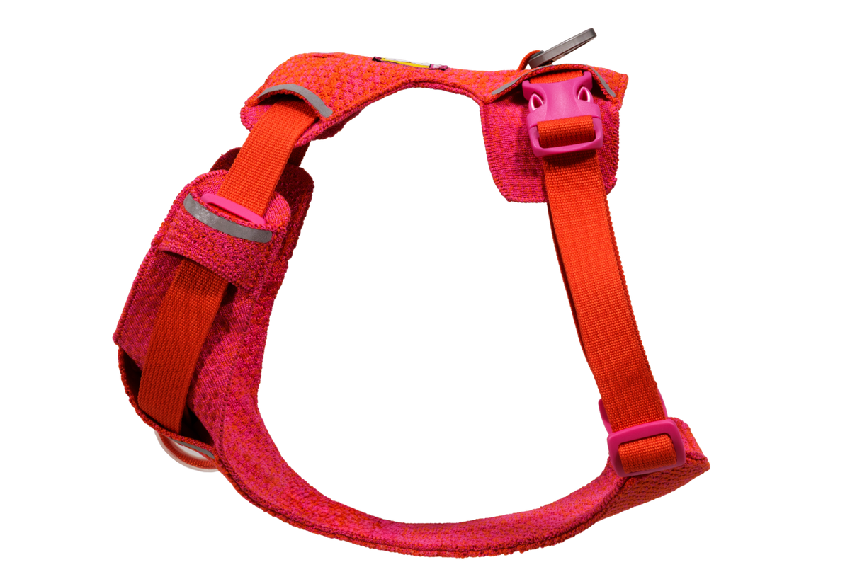 Front Range® Flex Harness product image
