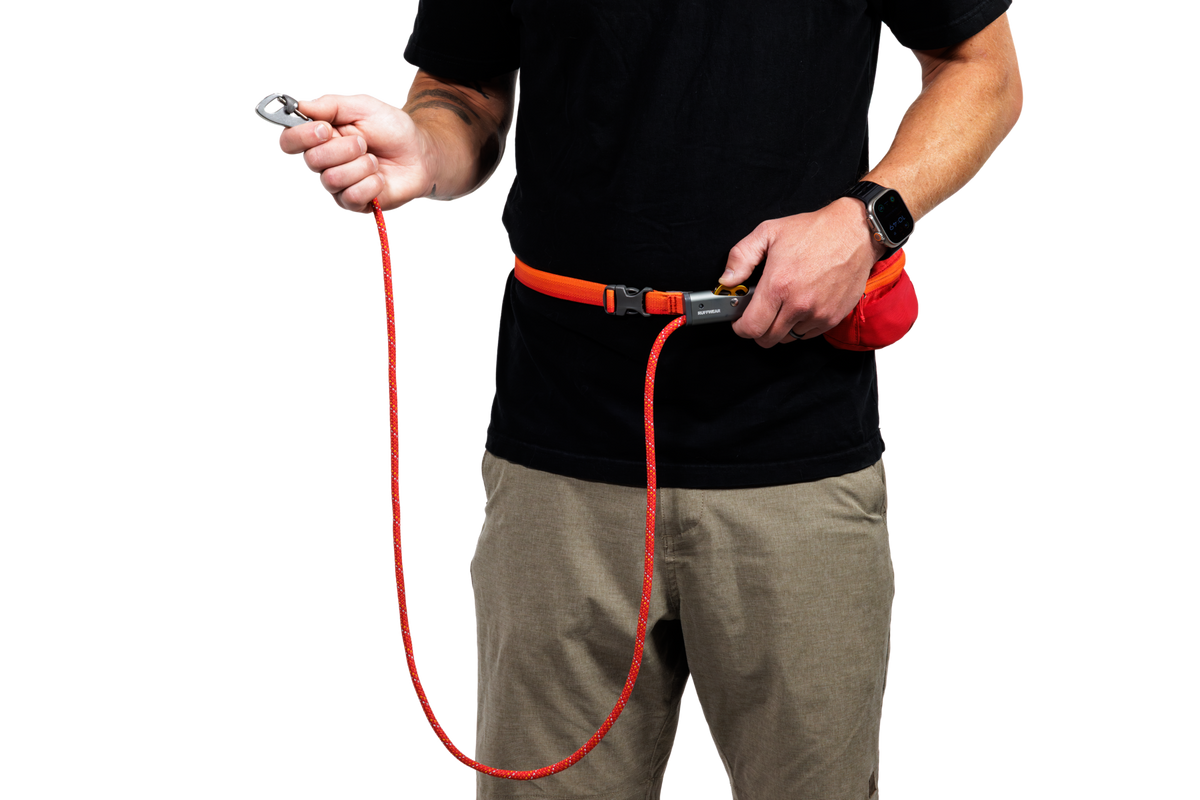 Hitch Hiker™ Leash product image