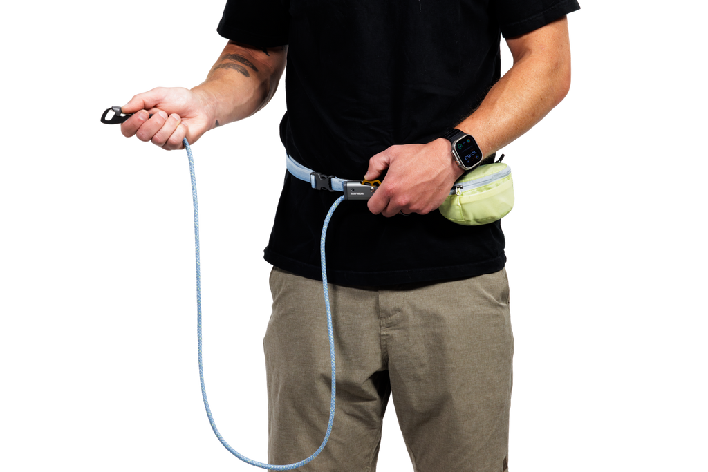 Hitch Hiker™ Leash product image