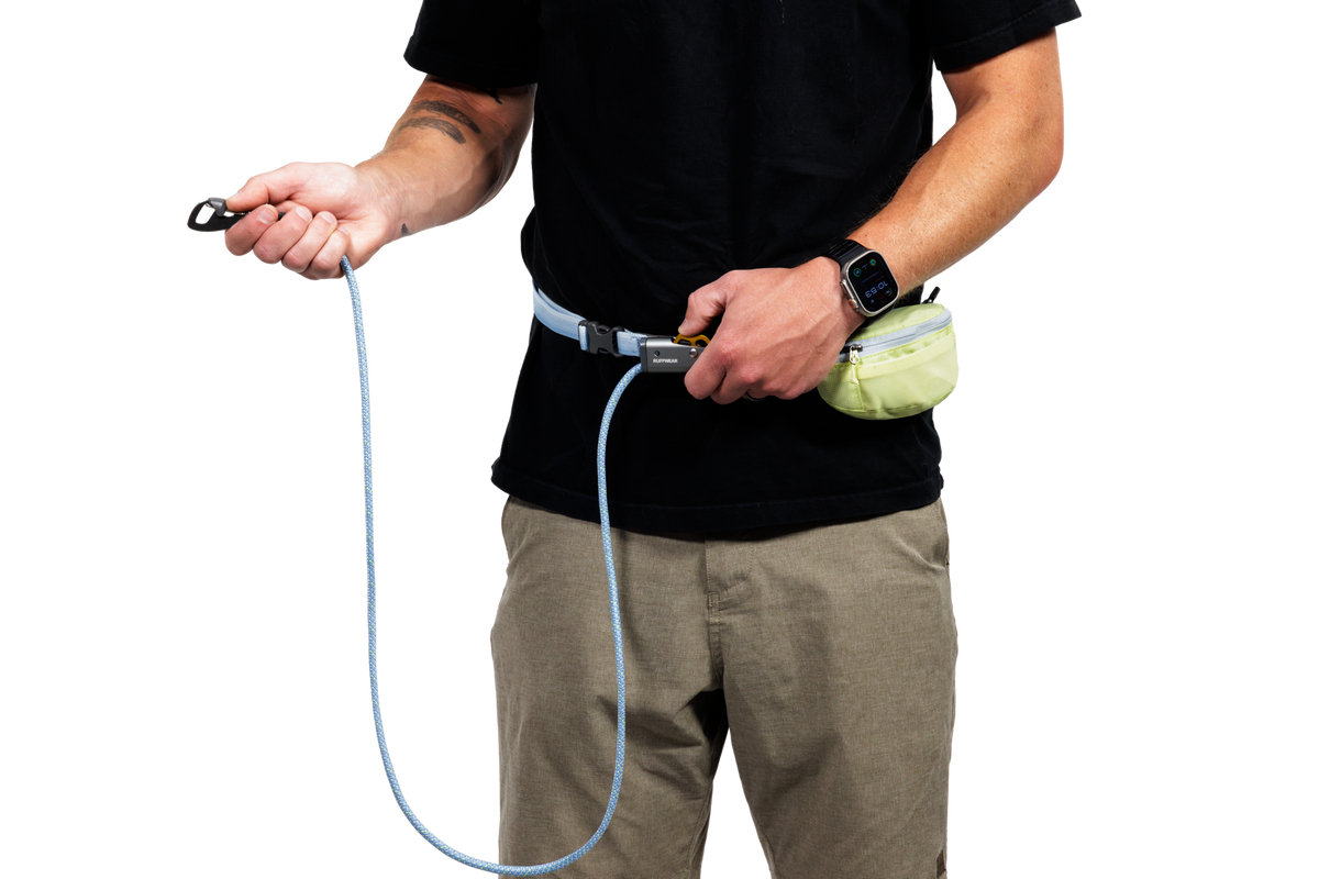 Hitch Hiker™ Leash product image