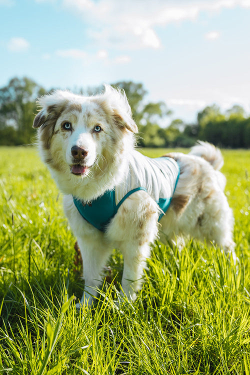 Cooling pull-on vest product image