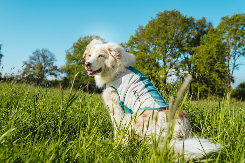 Cooling pull-on vest product image