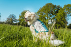 Cooling pull-on vest product image