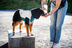 Cooling pull-on vest product image