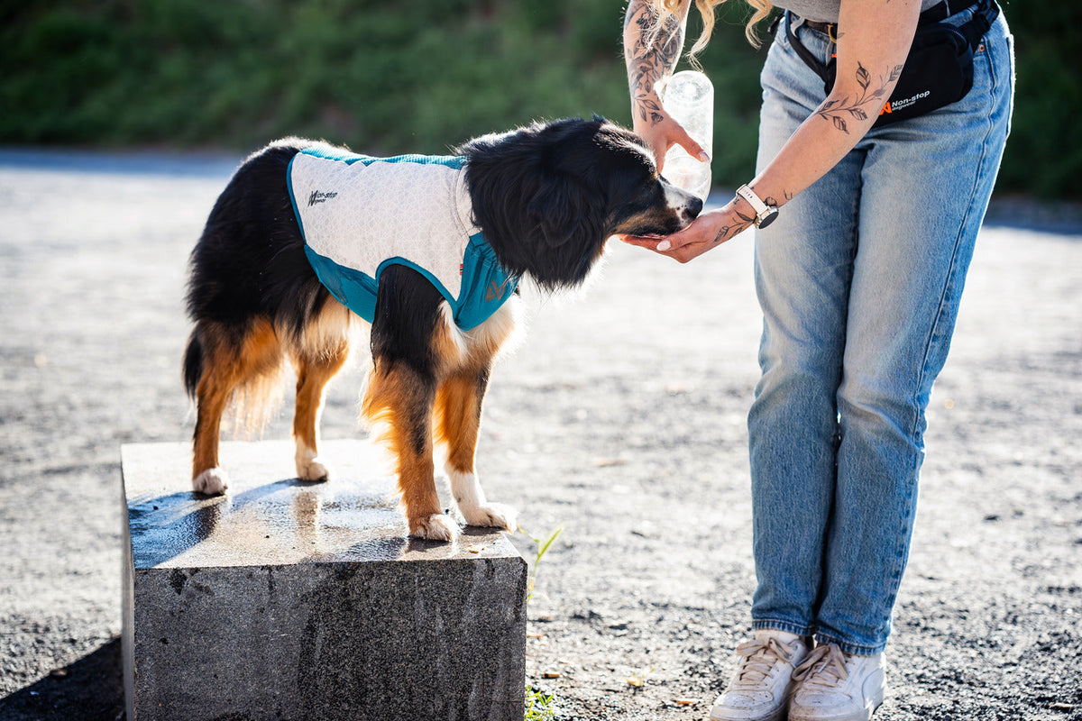Cooling pull-on vest product image