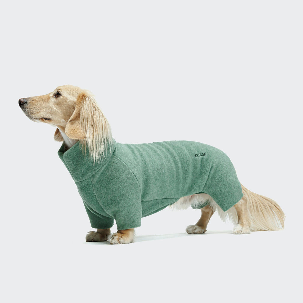 Dachshund Sweater Fleece Cornwall Dusty Green product image