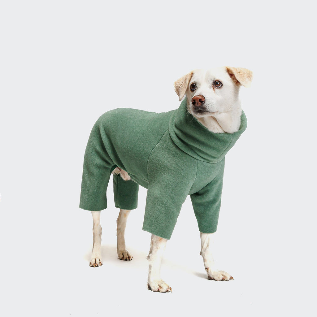 Dog Sweater Fleece Cornwall Dusty Green product image