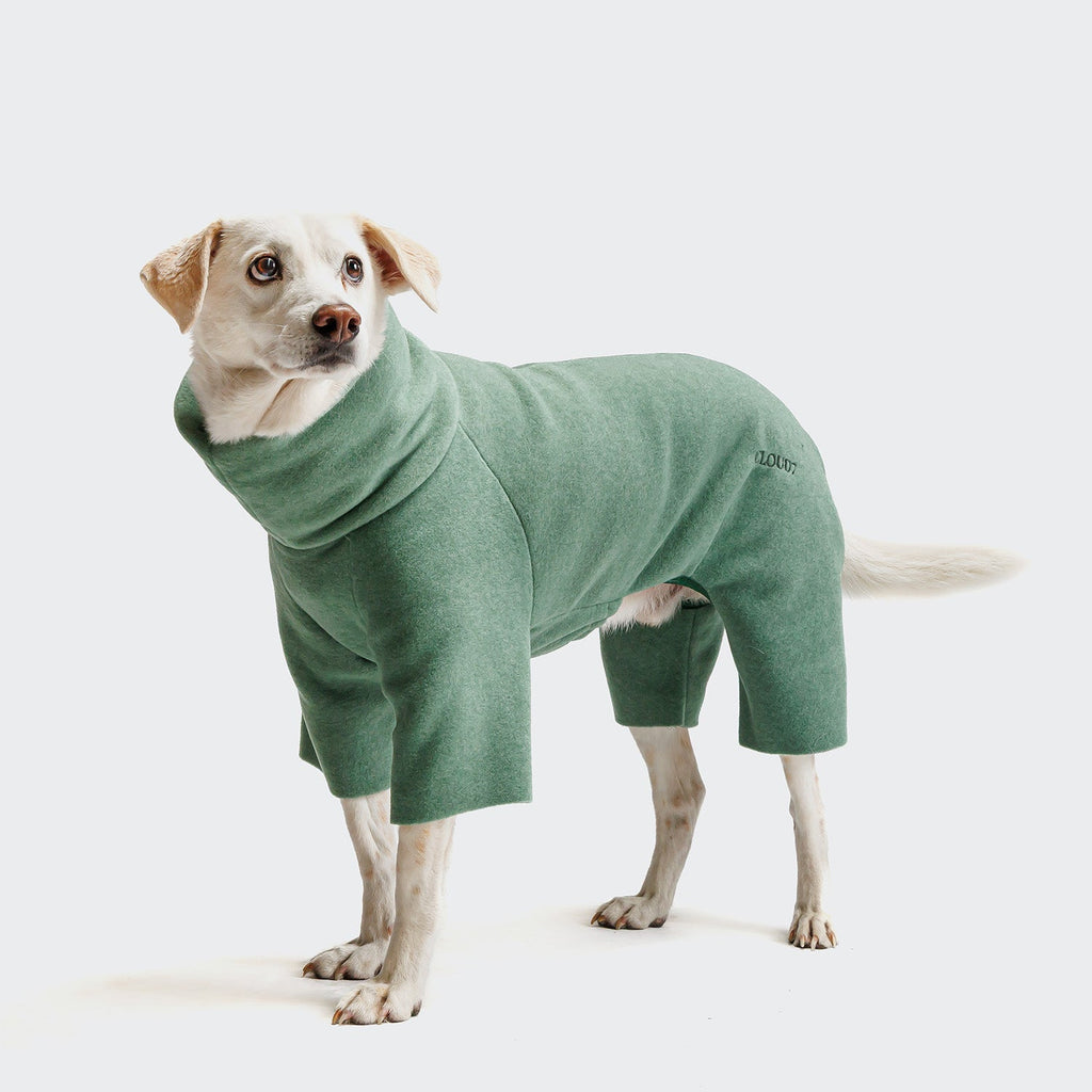Dog Sweater Fleece Cornwall Dusty Green product image