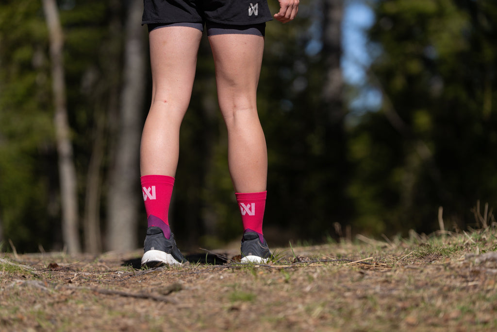 CaniX socks product image