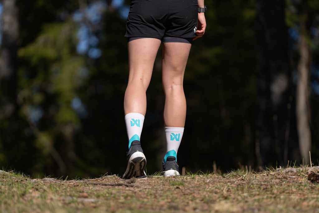 CaniX socks product image