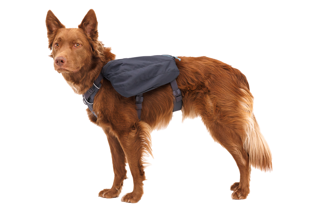 Front Range® Day Pack product image