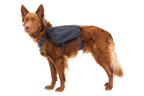 Front Range® Day Pack product image