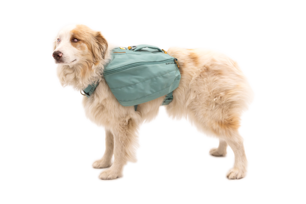 Front Range® Day Pack product image