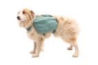 Front Range® Day Pack product image