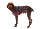 Flagline™ Dog Harness with Handle product image