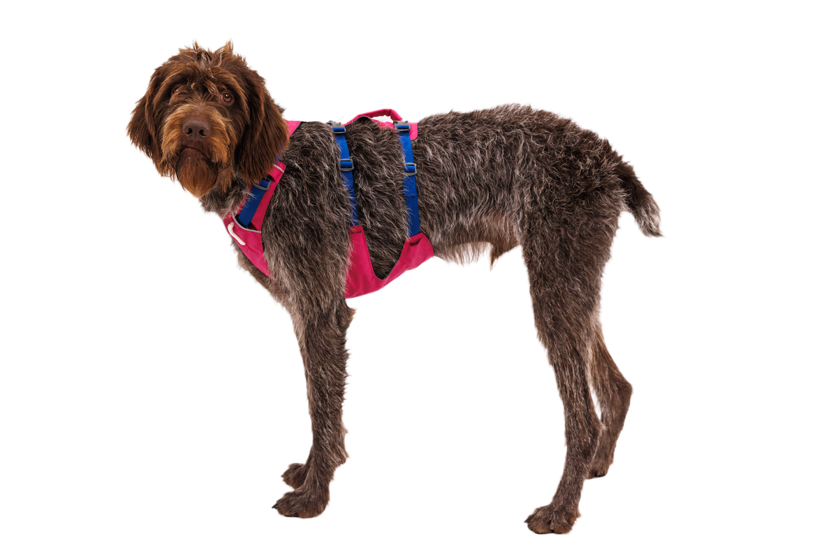 Flagline™ Dog Harness with Handle product image
