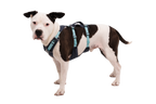 Flagline™ Dog Harness with Handle product image