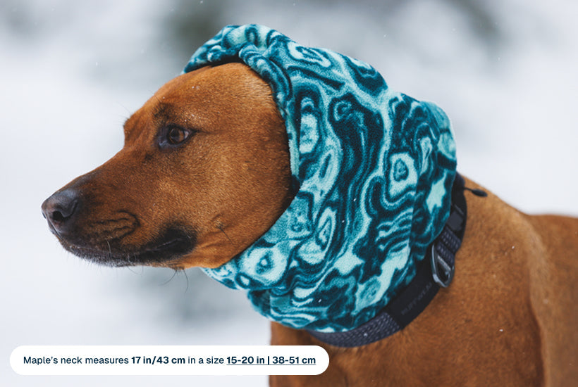 Mt. Hoodie™ Warming Neck Gaiter product image