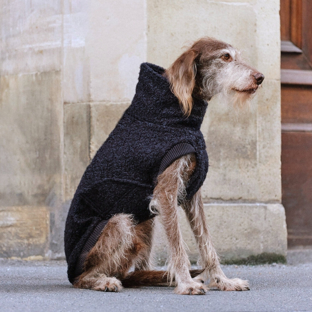 Dog Sweater Gotland Anthra product image